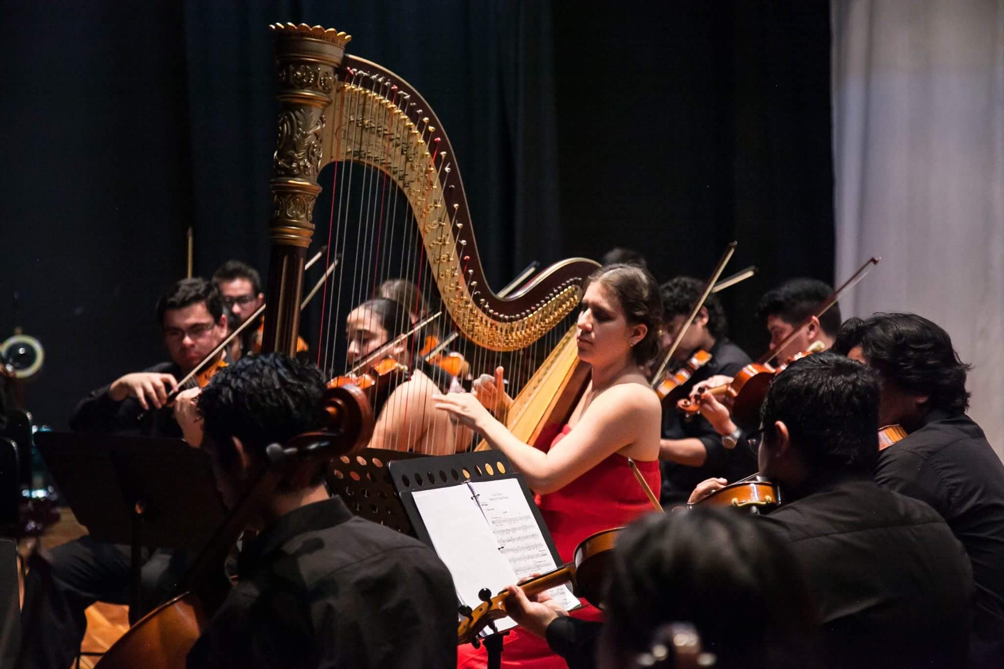 Orquesta